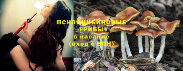 марки nbome Алексеевка